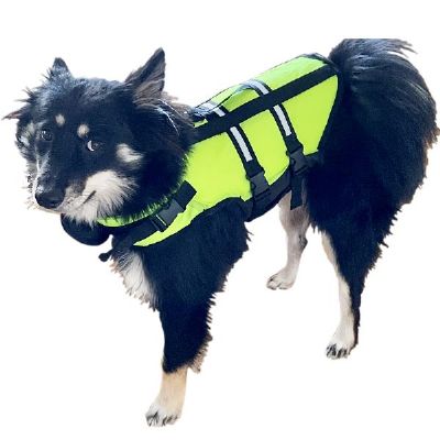 Hunderedningsvest